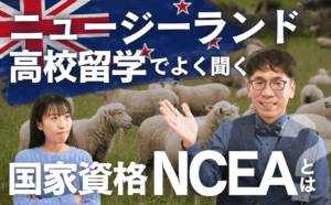 ニュージーランド高校留学でよく聞く国家資格「NCEA」とは？